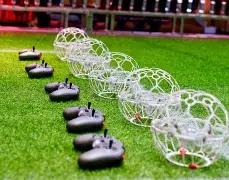 乐鱼体育,资讯,乐鱼体育平台,乐鱼体育平台,乐鱼体育官方网站,乐鱼体育登录入口,乐鱼体育app下载