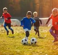 乐鱼体育,产品,乐鱼体育平台,乐鱼体育平台,乐鱼体育官方网站,乐鱼体育登录入口,乐鱼体育app下载