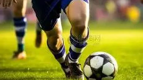 天地数码(300743)：外汇金融衍生品业务管理规范