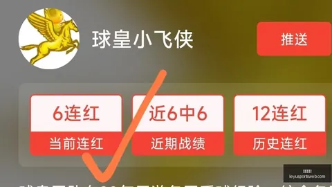 乐鱼体育 112313 27